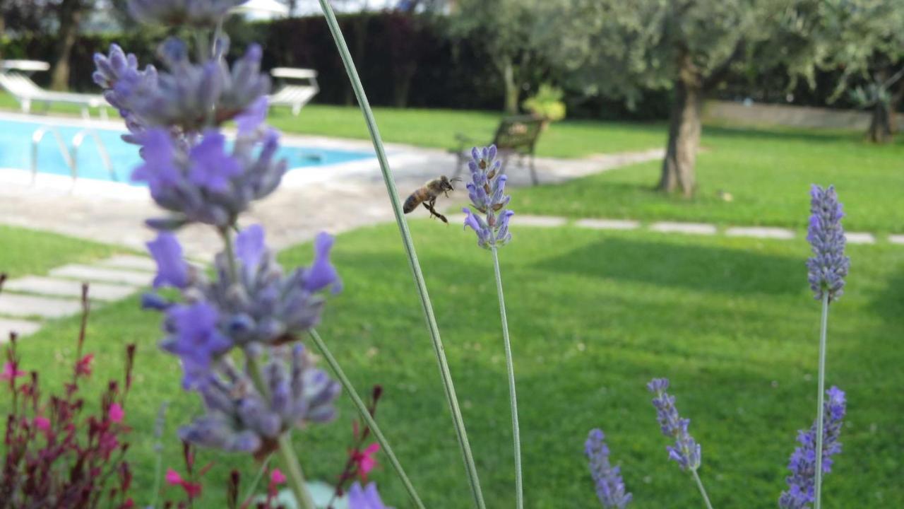 לינה וארוחת בוקר לונאטו Il Gelso Di Barcuzzi מראה חיצוני תמונה